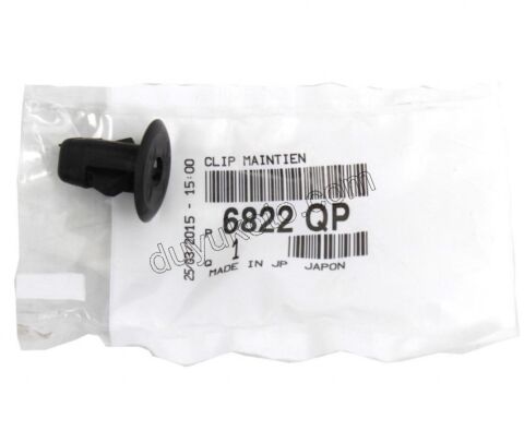 ÇAM DAVLUNBAZ KLİPSİ