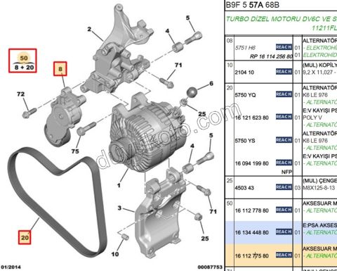 Alternatör V Kayış Kiti (Gergi Kütüklü) 1.6HDİ Euro4