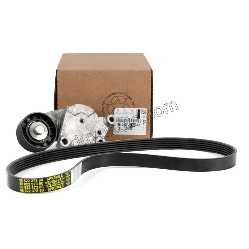 Alternatör V Kayış Kiti (Gergi Kütüklü) 1.6HDİ Euro4