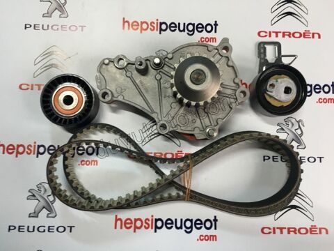 Alternatör V Kayış Kiti (Gergi Kütüklü) 1.6HDİ Euro4