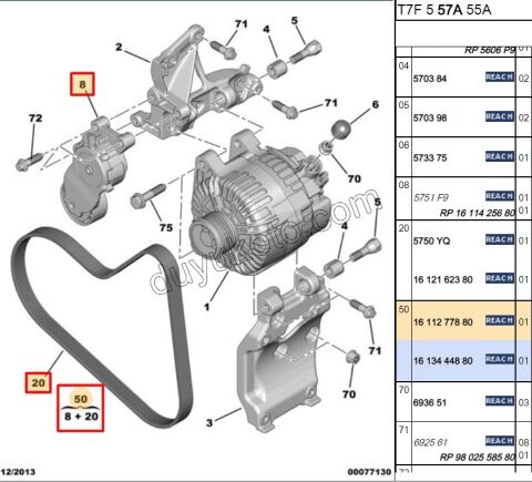 Alternatör V Kayış Kiti (Gergi Kütüklü) 1.6HDİ Euro4