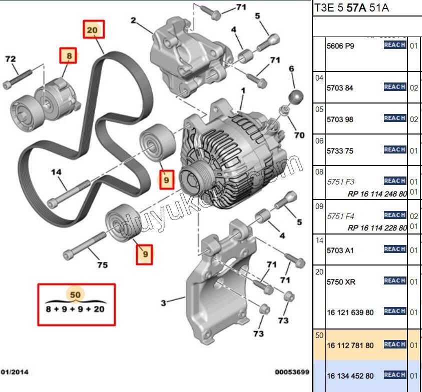 Alternatör V Kayış Kiti (Gergi Kütüklü) 1.4HDİ/1.6HDİ Euro4