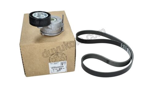Alternatör V Kayış Kiti (Gergi Kütüklü) DW10C