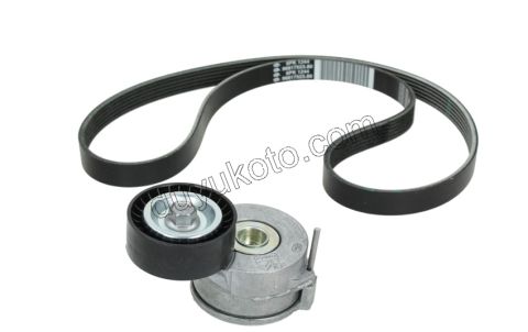 Alternatör V Kayış Kiti (Gergi Kütüklü) DW10C