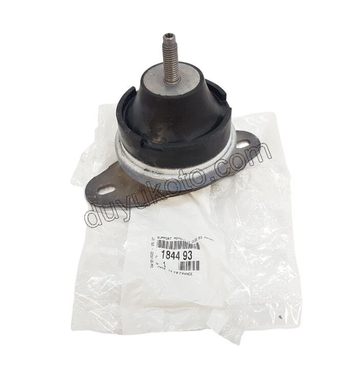 TAKOZ MOTOR R UST DW10 8V P407 P607