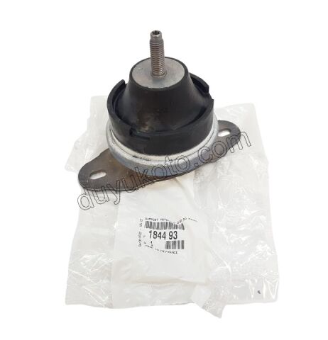 TAKOZ MOTOR R UST DW10 8V P407 P607