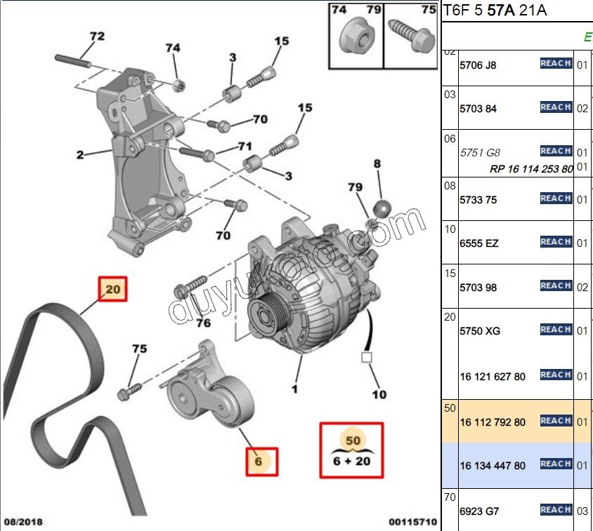 Alternatör V Kayış Kiti (Gergi Kütüklü) c EW10A
