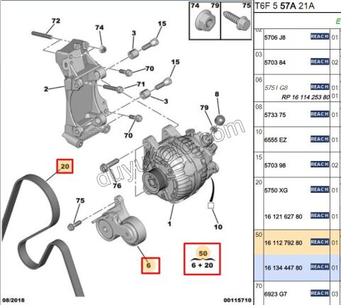 Alternatör V Kayış Kiti (Gergi Kütüklü) c EW10A