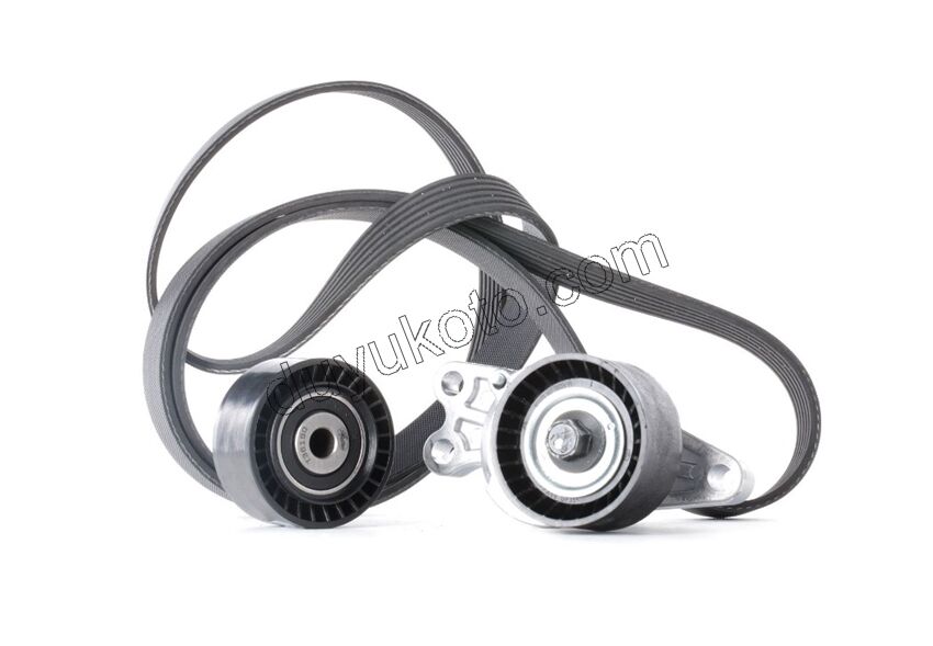 Alternatör V Kayış Kiti (Gergi Kütüklü) P206+ TU3A