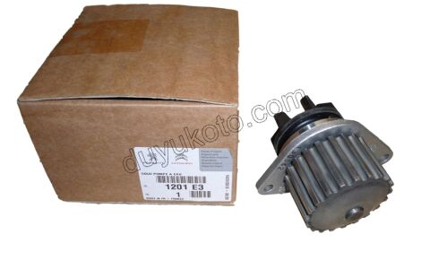 Devirdaim Su Pompası TU1 TU3JP 20DIS (+ CONTA 1206.94)