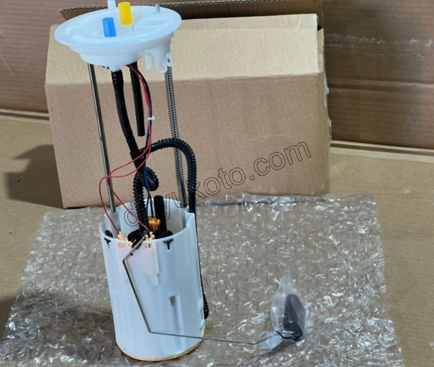 Yakıt Pompa ve Şamandırası (Komple) BXR3