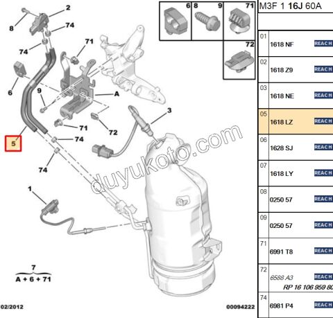 HORTUM EGZOZ FAP 2 LI DV6D