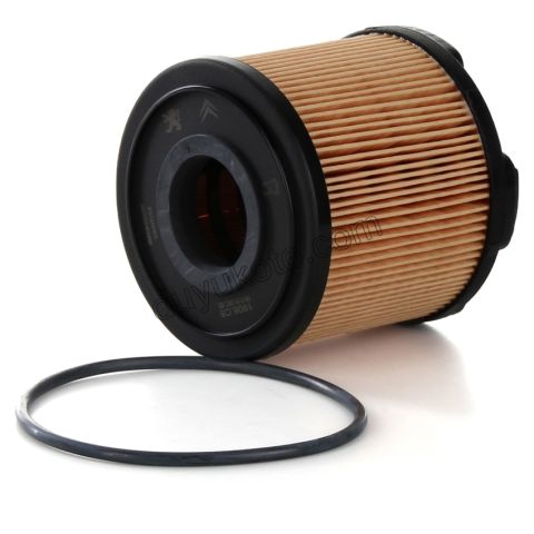 Mazot Yakıt Filtresi P406 DW10 8V