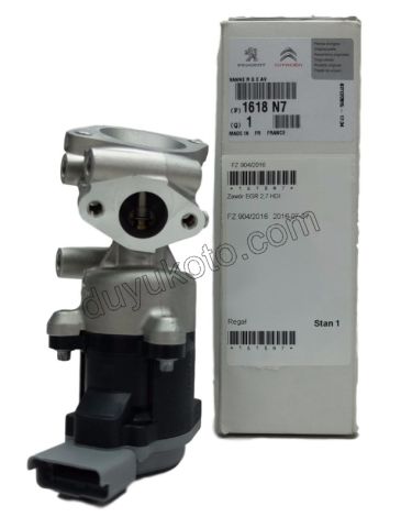 EGR Elektrovana P407 P607 C6 DT17