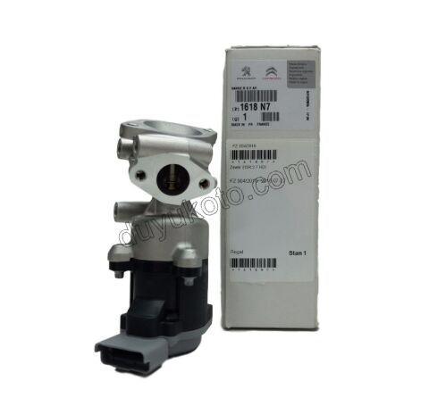 EGR Elektrovana P407 P607 C6 DT17