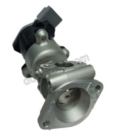 EGR Elektrovana P407 P607 C6 DT17