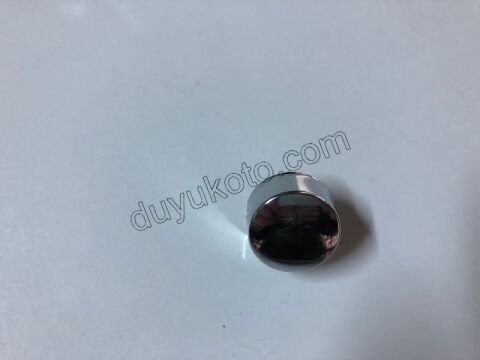 BUTON EL FREN P301 P2081