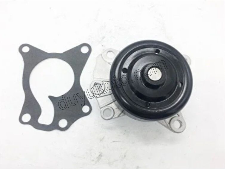 Devirdaim Su Pompası P107 1.0CC 384F