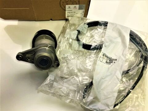 Alternatör V Kayış Kiti (Gergi Kütüklü) P301 EC5