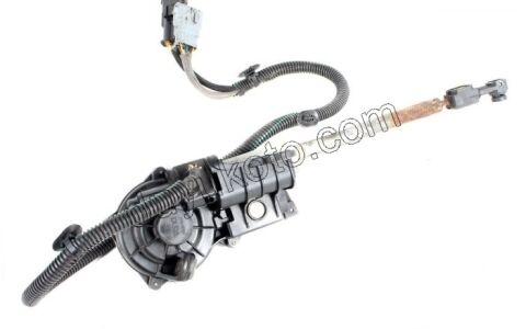 Vites Aksiyoneri   AM6