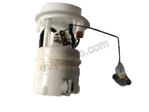 Yakıt Pompa ve Şamandırası (Komple) P206