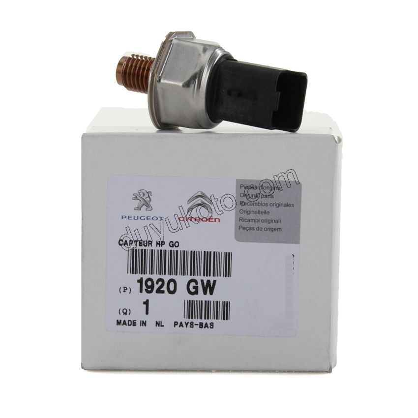 Peugeot Citroen Ford Yakıt Basınç (Rail) Müşürü 1.4HDİ / 1.6HDİ  Euro4