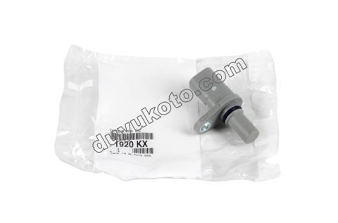 SENSOR EKSANTRIK KONUM BXR3 2.2