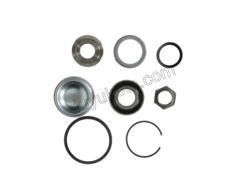 Arka Teker Rulmanı C2 C31 P1007