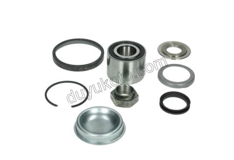 Arka Teker Rulmanı C2 C31 P1007