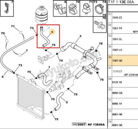 Radyatör Ek Depo Hortumu Alt P206 (UCU )