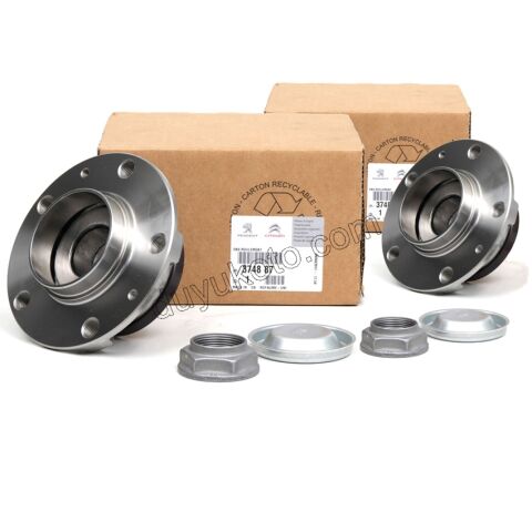 Arka Teker Rulmanı (Poryalı) P407 C53 C6 (5 BIJON)