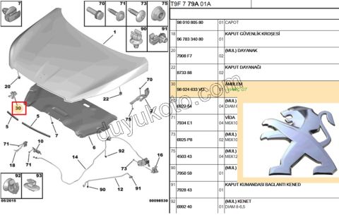 ARMA ASLAN MOTOR KAPUT P3082 9CM 2PIM