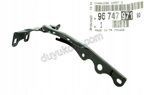 MENTESE MOTOR KAPUT R P301