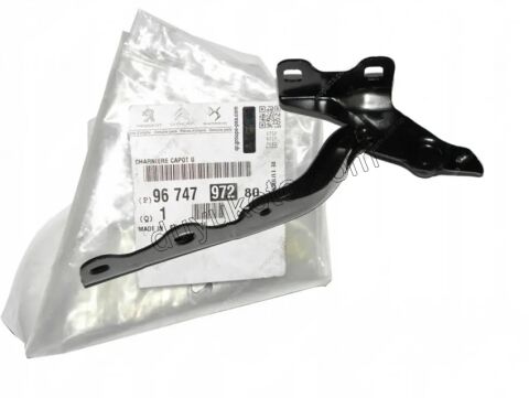 MENTESE MOTOR KAPUT L P301