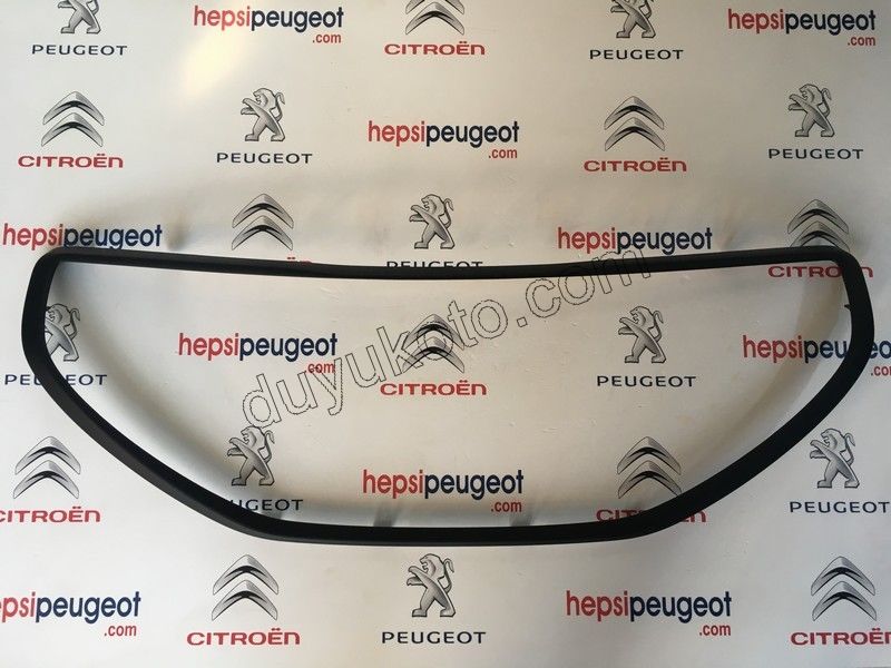 CERCEVE ON TAMPON ORTA IZGARA P2081 AST+