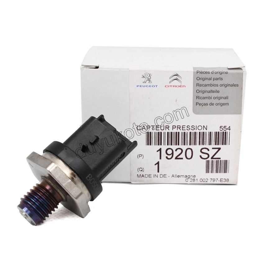 MUSUR BASINC ENJEKTOR RAMPA DW10 8V DW12 2.8HDI