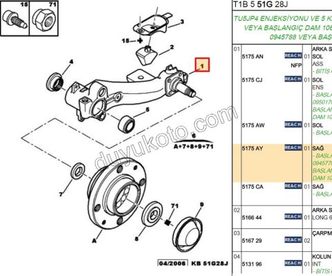 Arka Sağ Torsiyon Kolu   P206