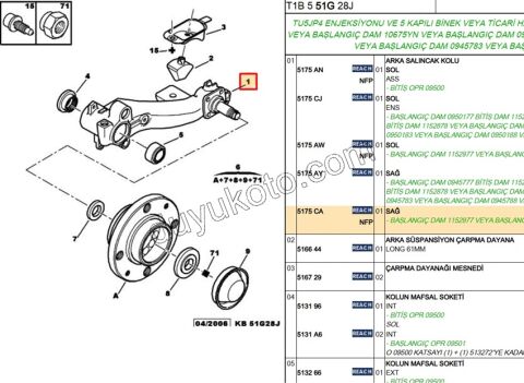 TORSIYON KOLU ARKA P206