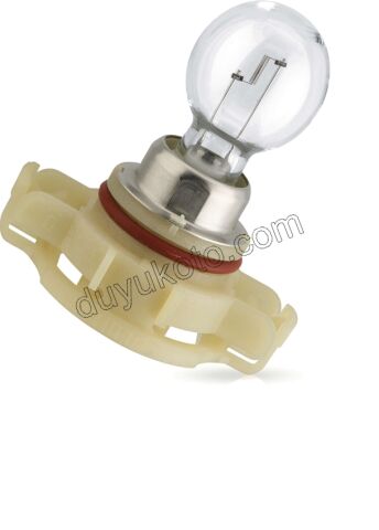 Peugeot 3008 5008 Citroen C5 Gündüz Far Ampülü (Duylu) 12V-HP24W PS24WFF TEK 2008/2014