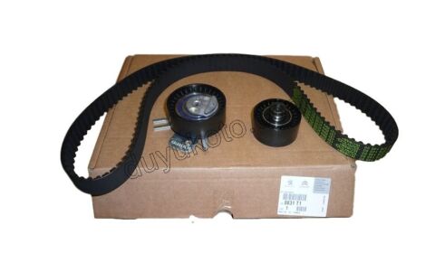 Eksantrik/Triger Kayış Seti XU10J4RS P306GTI 180HP 137DIS