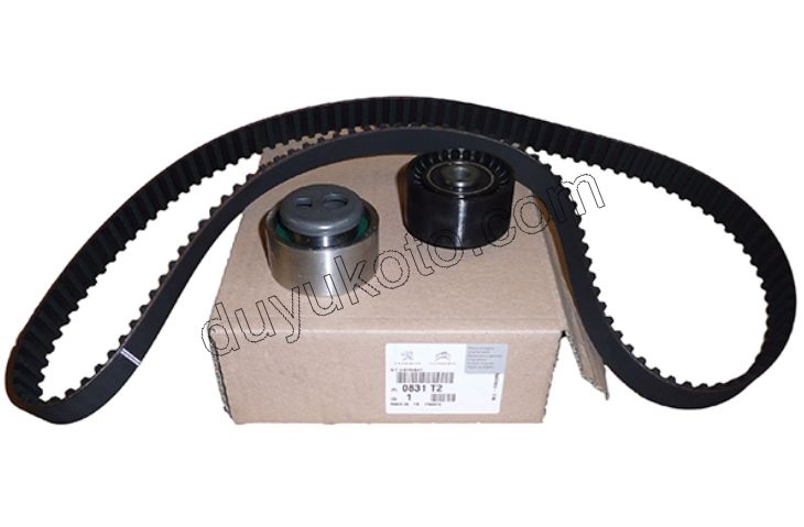 Eksantrik/Triger Kayış Seti SX 1.5D TUD5B