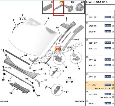 SEGMAN ON CAM CITA P5081 P30081 C42 C53