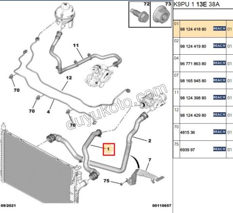 2019> Partner Rifter Berlingo Combo Doblo Proace City Radyatör Üst Hortumu 1.5HDİ Euro6 P3082 P30082 P5082 P50082