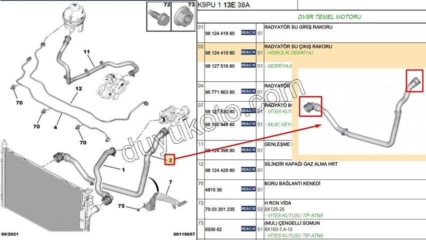 2019> Partner Rifter Berlingo Combo Doblo Proace City Radyatör Alt Hortumu 1.5HDİ Euro6 2 LI P3082 P30082 P5082 P50082
