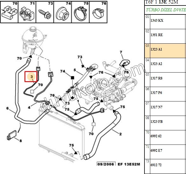 Radyatör Ek Depo Hortumu İnce + TERMOSTAT P307 DV6