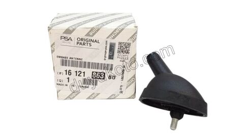 TABAN ANTEN BXR2 DCT2 BXR3 DCT3 PBP DB