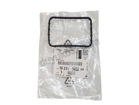 Termostat Oring Conta 1.6HDİ Euro4/Euro5 SIYAH KARE LASTIK