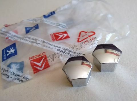 Bijon Kapağı (Krom) 19LUK 1.8CM P206 P306 P307 P607