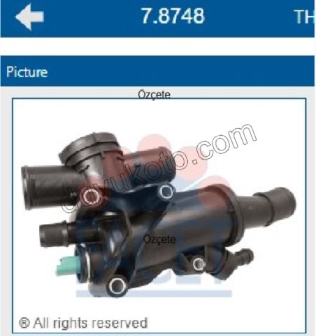 Termostat P407 DW10 16V + 1317.Q8