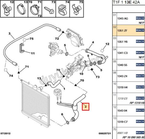 HORTUM RADYATOR ALT 4 LU P206 EW10J4